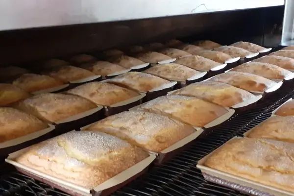 PAPER MOULD PLUM CAKE PM 193 FL. G70
